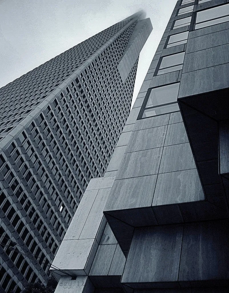 Looking up at modern office towers
